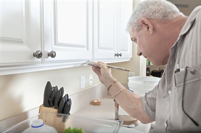 Best Cabinet Refinishing Contractors in Wapakoneta, OH